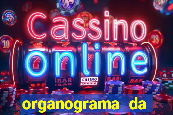 organograma da cacau show